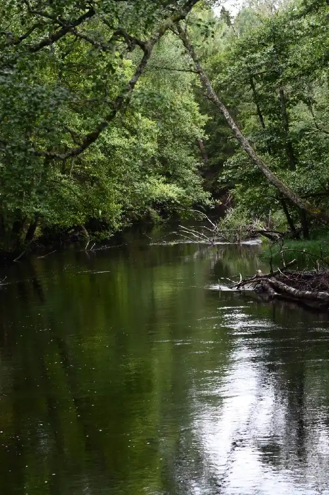 Upptäck Isaberg Mountain Resort – premium ställplatser & camping för husbil/husvagn i Småland. Fullspäckat med äventyr, MTB, skidåkning & service!