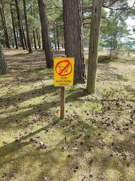 Hitta din ställplats på Harge Bad & Camping vid Vättern! Njut av Närkes Riviera med sandstrand, pool, padel & restaurang. Husbil/husvagn. Boka nu!