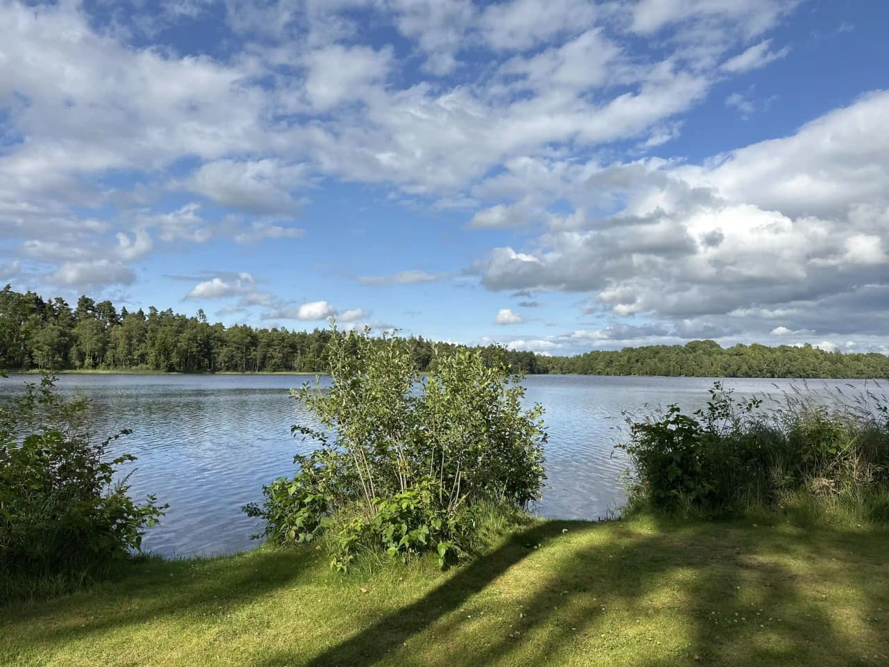Upptäck Den Sovande Älgen, en mysig ställplats för husbil/husvagn vid Lagan i Småland. El, dusch, fiske, kanot & B&B. Boka din naturnära plats online!