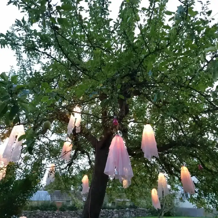 Unik ställplats i Södvik, Öland! Upplev konst & kultur på Kalvhagen med Galleri Hönshuset. Nära hav & natur. Perfekt för husbil/husvagn. Boka nu!