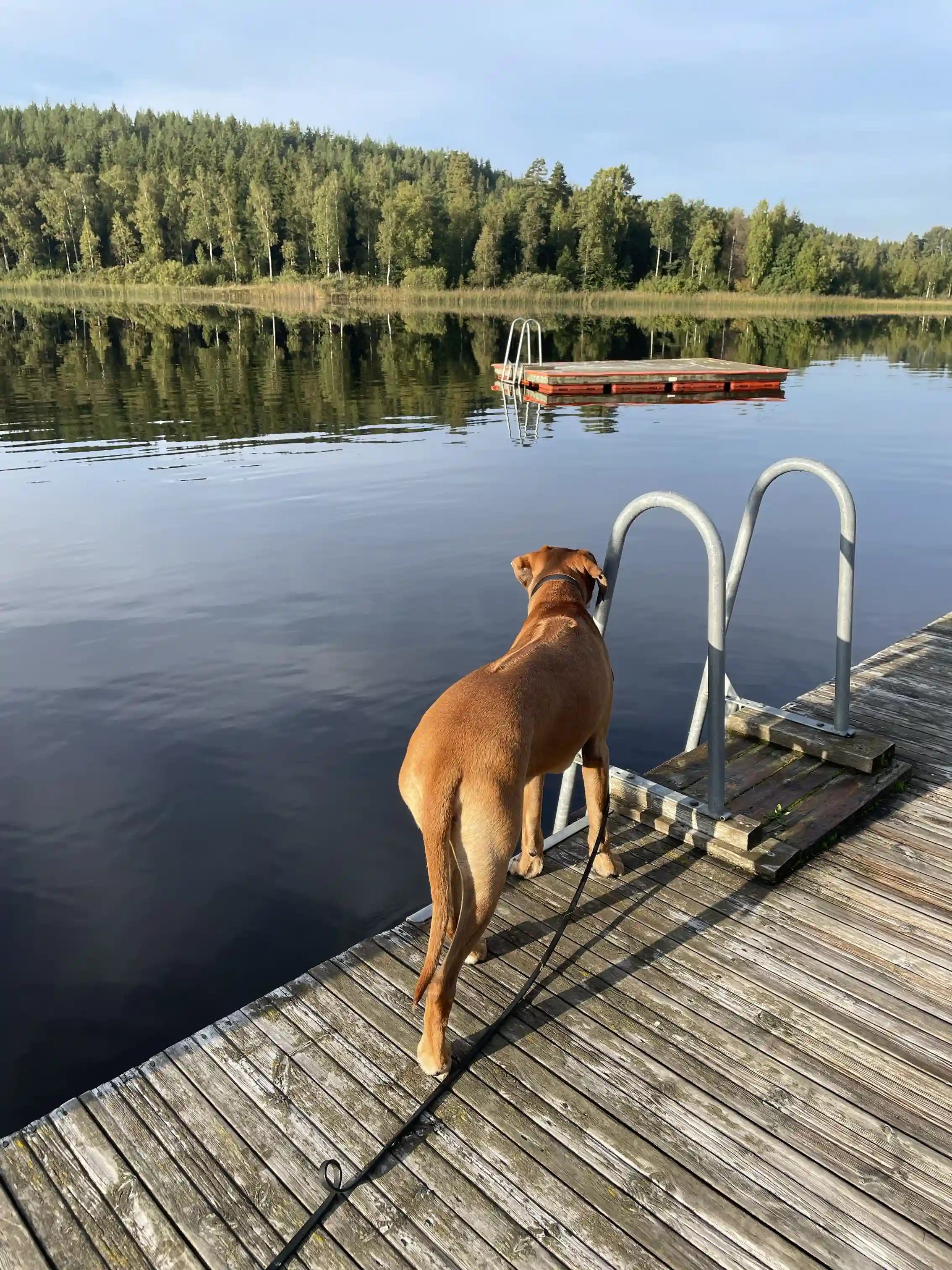 Naturskön ställplats vid Amundebosjön, Ulrika, Östergötland. Platser för husbil/husvagn med el. Bad, båtuthyrning, lekplats, servicehus. Husdjur välkomna.