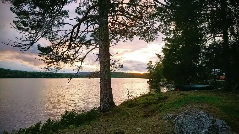 Upptäck Snibbens Camping, prisbelönt ställplats i Höga Kusten med oslagbar sjöutsikt. Perfekt för husbil nära Högakustenbron. Boka din plats idag!