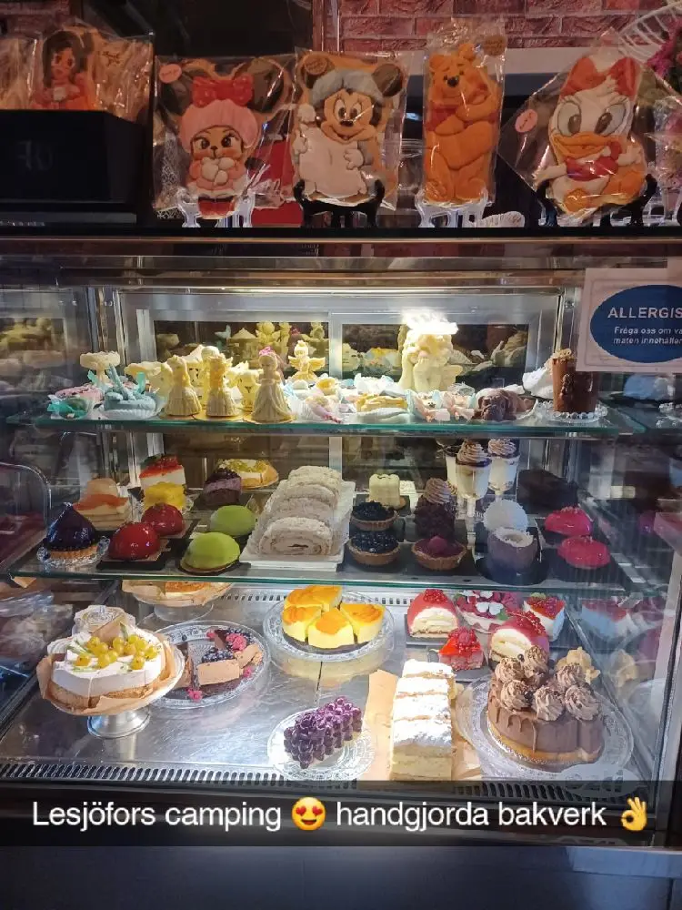 Upptäck Lesjöbyns Camping i Värmland! Naturnära ställplatser för husbil/husvagn med el, dusch, WC, café & fotbollsplan. Husdjur välkomna. Nära Lesjöfors.