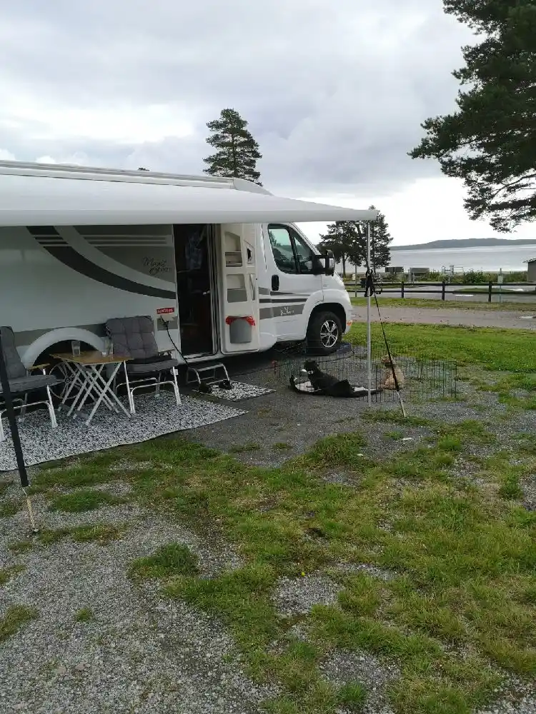 Upptäck Gullviks Havsbad – toppmoderna ställplatser för husbil vid Höga Kustens finaste sandstrand. Full service, pool, padel & massor av aktiviteter.