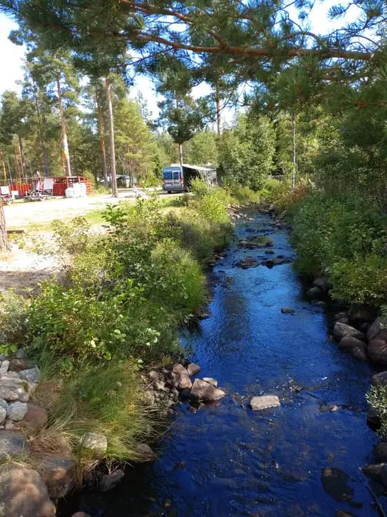 Upptäck Skärså Naturcamping – idyllisk ställplats för husbil/husvagn i Söderhamn. Havsnära läge, el, servicehus, tömning. Nära bad, skog & fiskeläge.