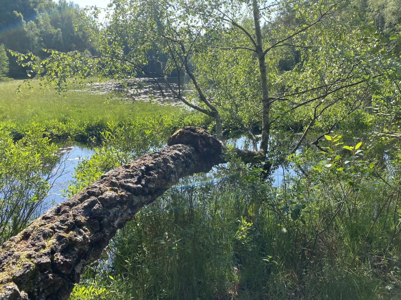 Natursköna ställplatser för husbil & husvagn vid Orranäsasjön på Orrefors Camping i Glasriket. Bad, fiske, kanot, minigolf & nära till glasbruk. Boka nu!