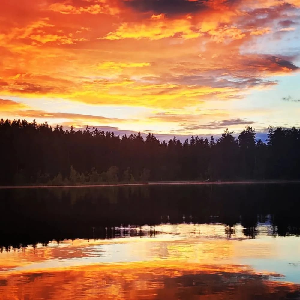 Upptäck Pankoviken i Kloten, en naturskön ställplats för husbil/husvagn vid Lilla Klotsjön. Nära Kopparberg. Äventyr med höghöjdsbana, kanot & fiske.