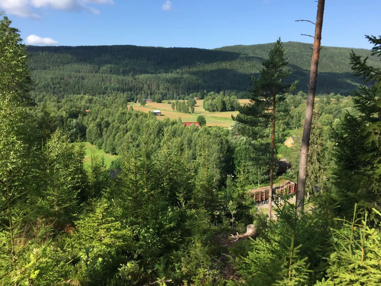 Upptäck Björkebo Camping i Stöllet, Värmland! Naturnära ställplatser för husbil/husvagn vid Klarälven. Öppet året runt. Fiske, kanot, vandring, bad.