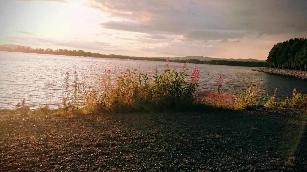 Upptäck Storumans Camping! Naturnära ställplatser vid sjön med el, service och massor av aktiviteter året runt för husbil och husvagn. Boka din plats!