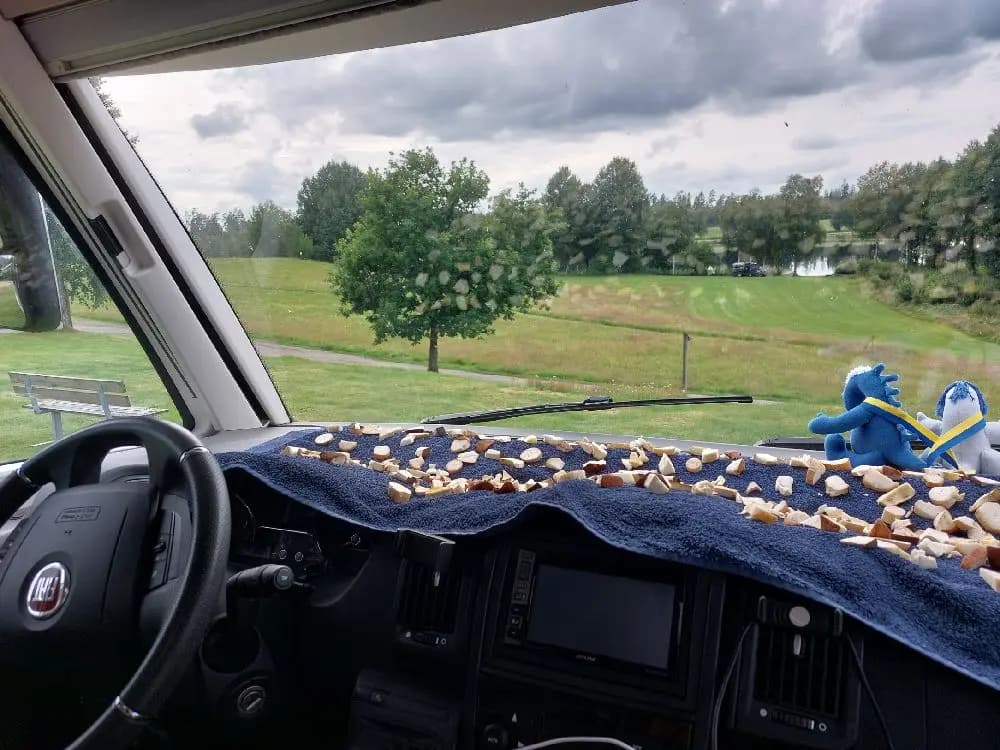 Upptäck Påarps Gård i Håcksvik: Naturskön ställplats för husbil/husvagn vid sjö med el, service, fiske, bad, kanot, fotbollsgolf & café. Boka nu!