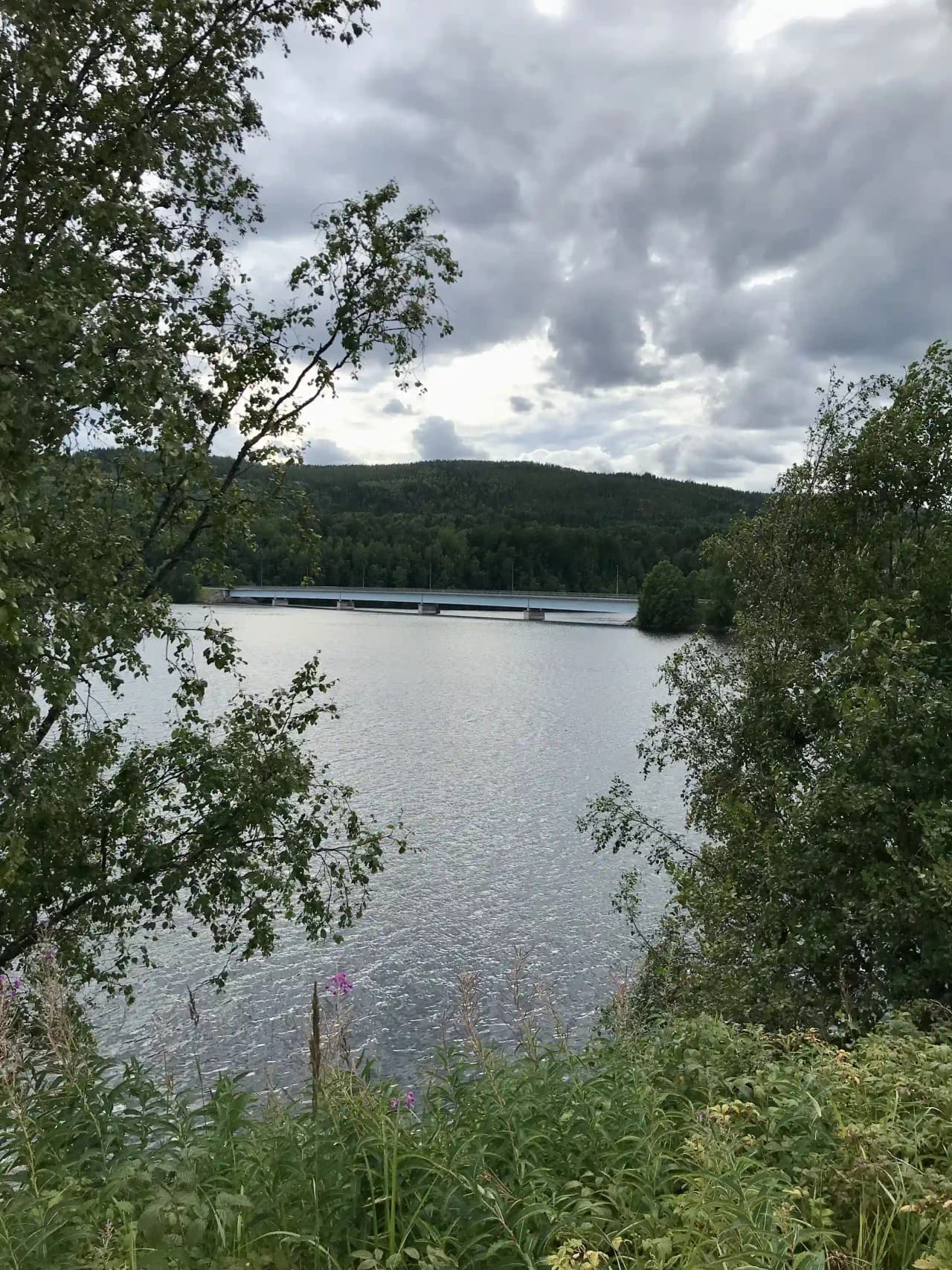 Upptäck Kävsta Camping – ställplatser vid Indalsälven nära Sundsvall. Familjevänligt med bad, fiske, båtuthyrning & elplatser. Nära Birsta City. SCR.