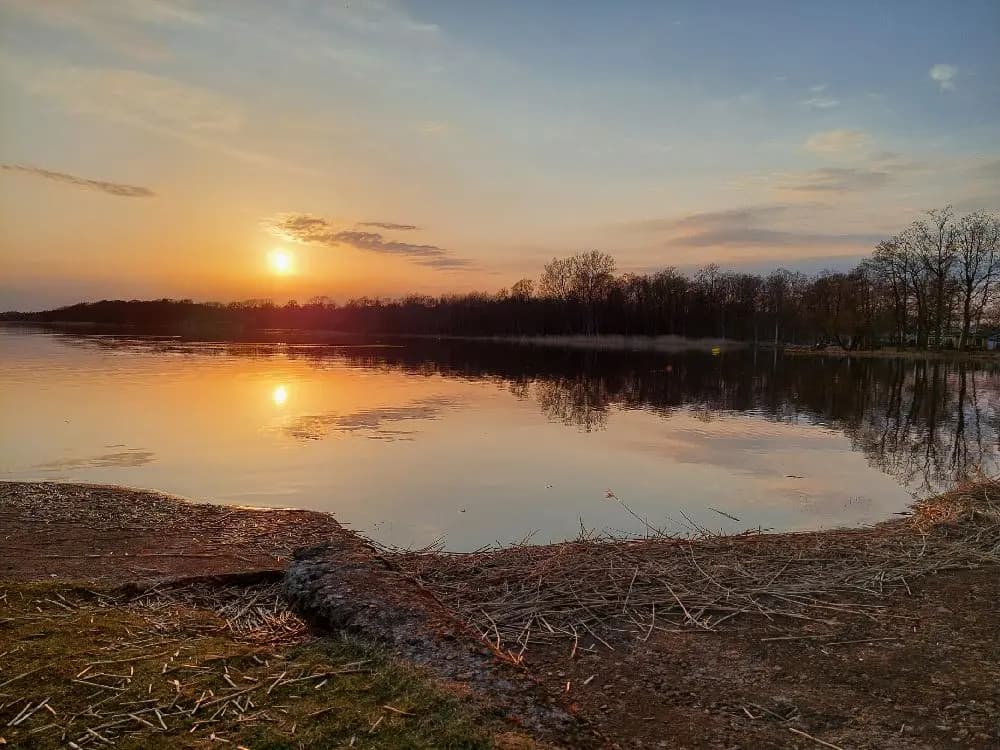 Upptäck Jägersbo Camping i Höör! Året runt ställplatser vid Ringsjön med el, bad, fiske, minigolf & hundvänliga faciliteter. Boka din plats i Skåne!