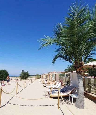 Upptäck Tofta Camping, en topprankad ställplats på Gotland vid berömd sandstrand. Havsnära platser, pool, padel, restauranger & after beach. Boka nu!