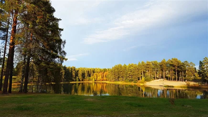Hitta din perfekta ställplats vid Vivstavarvstjärns Camping i Timrå. Naturskönt vid sjö & hav med pool, strand, fiske & service. Boka idag!