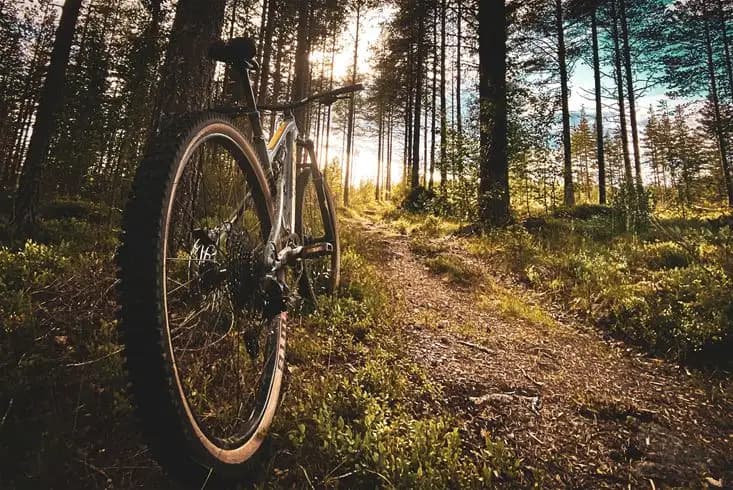 Upptäck Åsarna Skicenter – året runt-öppen ställplats i Guldbyn! El, servicehus, restaurang, outlet & aktiviteter för husbil/husvagn vid E45.