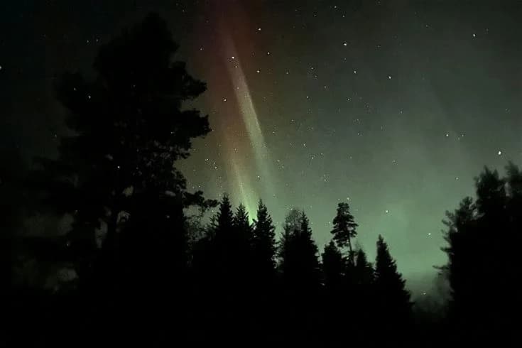 Hitta din ställplats vid Ammeråns Fiskecamp i Hammarstrand, Jämtland. Naturnära camping för husbil/husvagn vid älven. Fiske, båtar, bastu, servicehus.