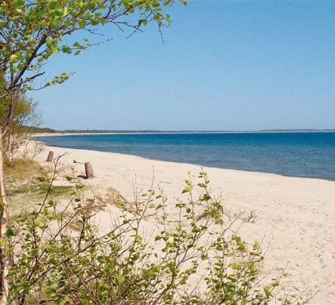 Upptäck Ystad Camping, en förstklassig ställplats vid havet i Ystad. Året runt-öppet med anpassade husbilstomter, padel, pizzeria & nära Österlen.