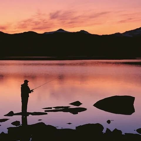 Upptäck Björkliden Camping, en ställplats i Lappland med el & service. Njut av fjäll, skidåkning, vandring, norrsken & midnattssol. Resort med restaurang.