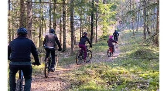 Upptäck Daftö Resort i Strömstad – en 5-stjärnig ställplats för husbil/husvagn vid havet! Njut av nöjespark, pool, strand, restauranger & aktiviteter. Öppet året runt.