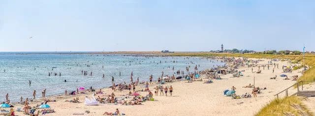 Upptäck Olofsbo Camping – året runt-öppna ställplatser vid Falkenbergs sandstrand. Perfekt för husbil/husvagn med el, service & nära Kattegattleden.