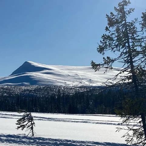 Hitta din ställplats på Saxnäs Fjällcamping vid Vildmarksvägen. Fullservice camping med el, dusch, WC & aktiviteter som vandring, fiske, skidåkning.