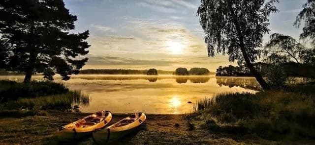 Upptäck Sjötorpets Camping i Markaryd – natursköna ställplatser för husbil vid sjön. Full service, fiske, bad & aktiviteter. Boka din oas idag!