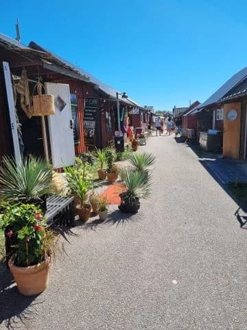 Upptäck Tokenäs Camping – naturskön ställplats på norra Öland nära Byxelkrok. Fullservice för husbil/husvagn, bageri, lekplats & nära till havet.