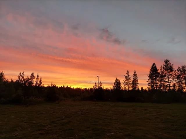 Upptäck Nederhögens Vildmarkscenter – unika ställplatser i Jämtland med el, servicehus & massor av aktiviteter som vandring, fiske, skoter & bastu. Boka nu!