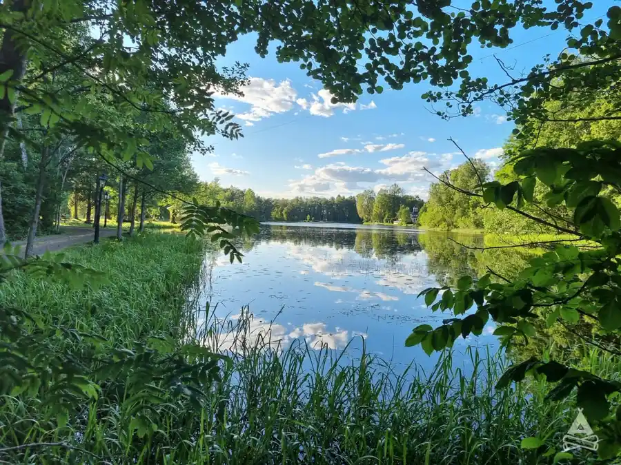 Upptäck Sofielund i Sala: Naturnära ställplatser för husbil & husvagn vid Mellandammen. Öppet året runt med dusch, WC, café & nära till vandring.