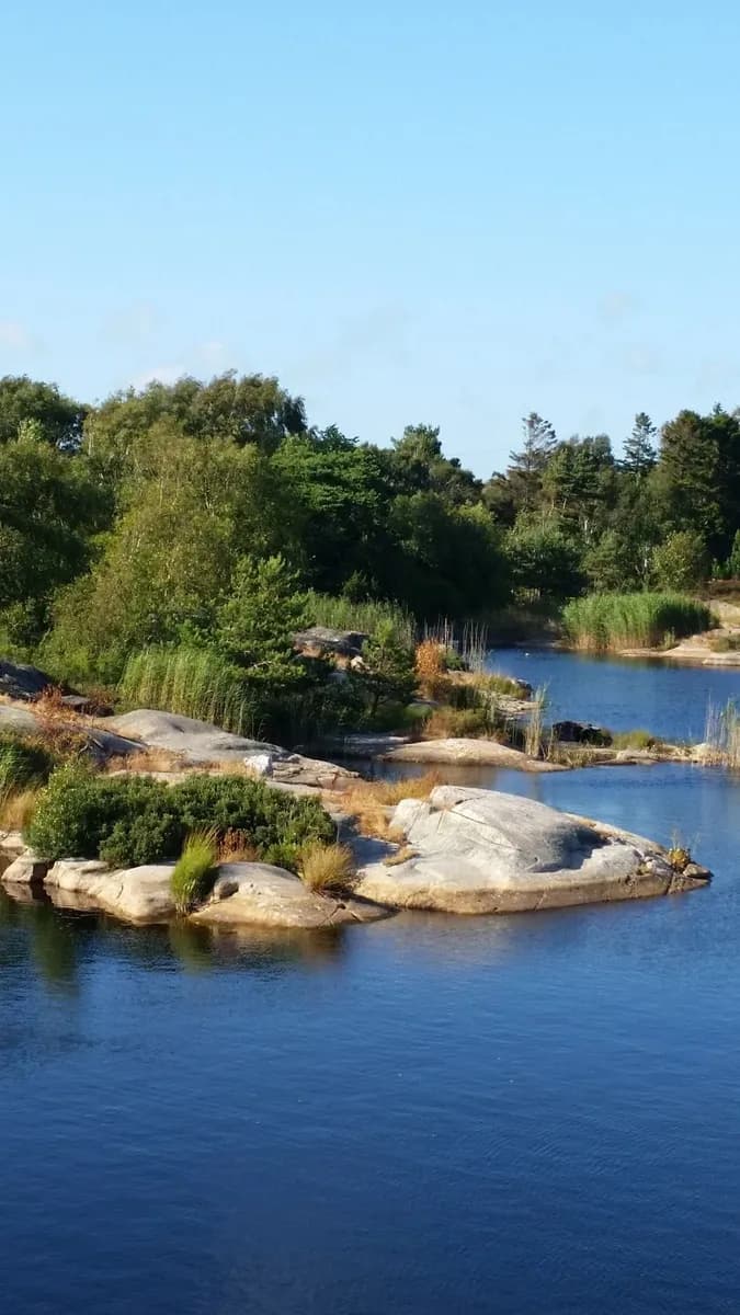 Upptäck Löfgrens Camping – en unik ställplats i Lysekil nära Gullmarsfjorden. Familjevänligt, husdjursvänligt, med el & service. Boka din plats!